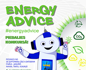 energy advice